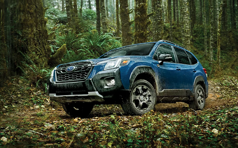 ▲Subaru Wilderness