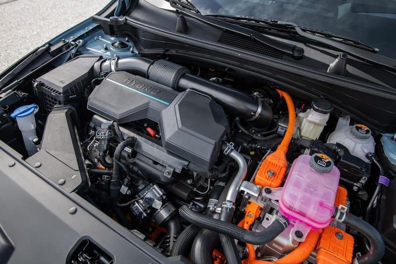 20250801_Kia Sportage_03.jpg