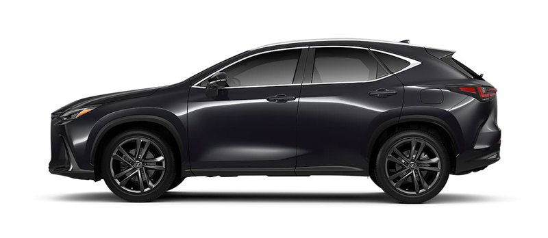20250911_Lexus NX (2).jpg