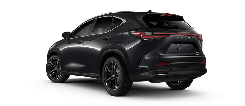 20250911_Lexus NX (3).jpg