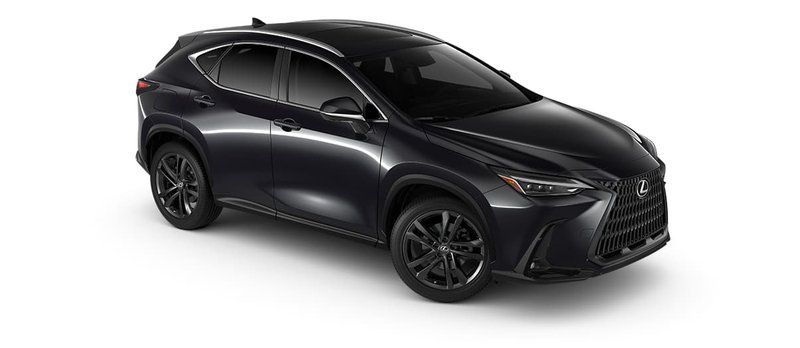 20250911_Lexus NX (4).jpg