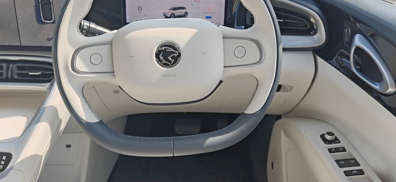 20251023_eMas 5-Steer up.jpg