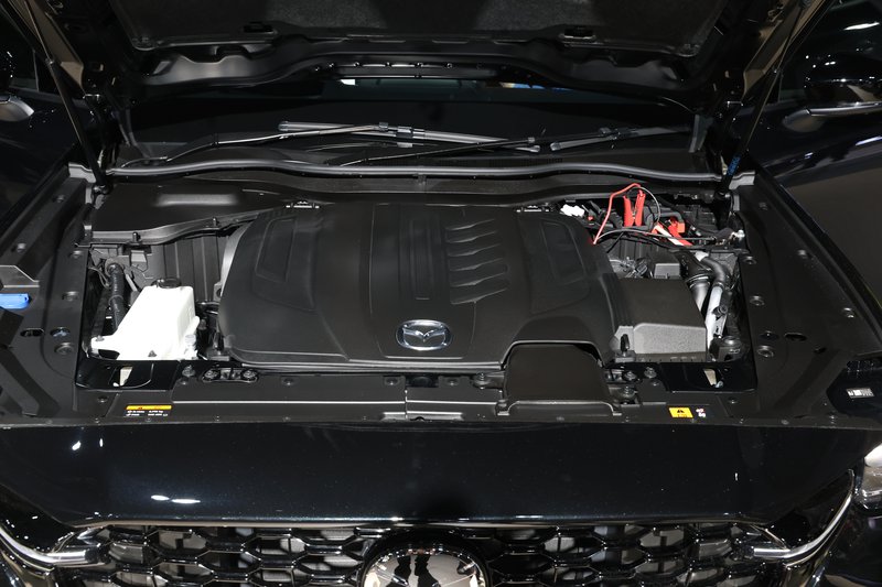 FE241204LNYA19.JPG