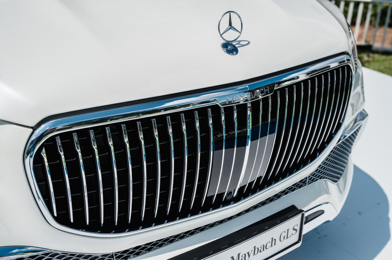 Maybach GLS600_ (21).jpg