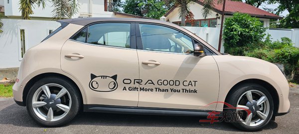 Ora-Good-Cat_20230618_114016.jpg