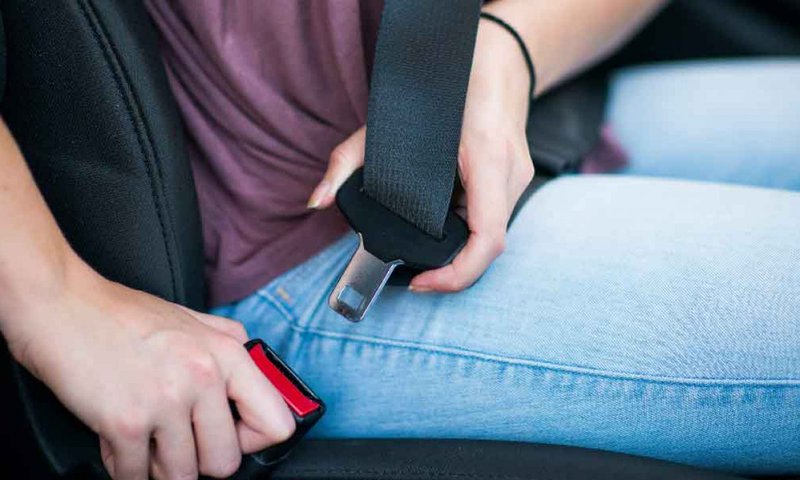 Seatbelts.jpg